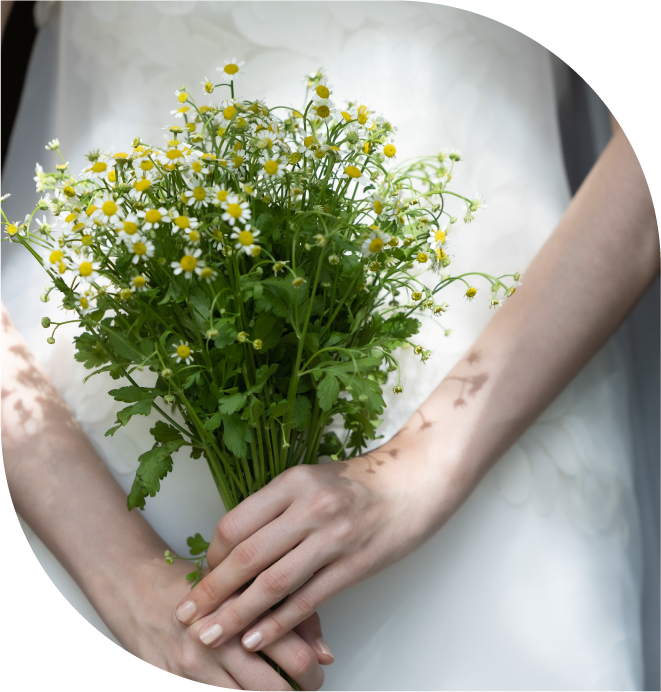 コラボレーションドレス　Cottie Lou Mariage